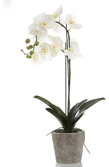 Silk Artificial Flowers Sydney The Best Ideas Silk Flowers Western Sydney Ideas
