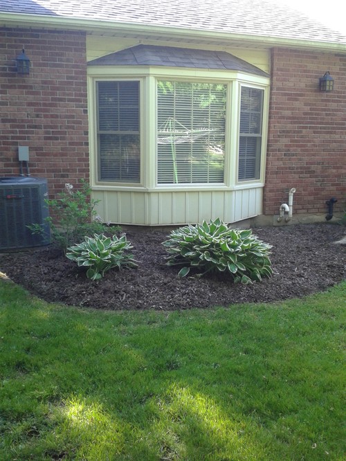 Landscaping around bay window