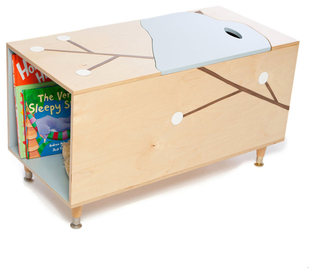 toy boxes with book shelves