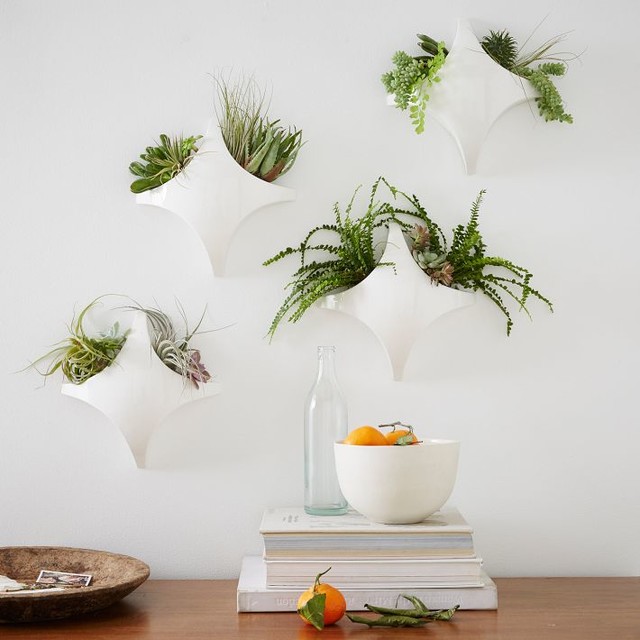 Curved Diamond Tile Wall Planter - Contemporary - Indoor Pots And