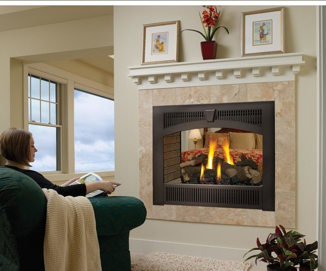 FireplaceX 864 SeeThru GreenSmart Gas Fireplace Traditional Indoor