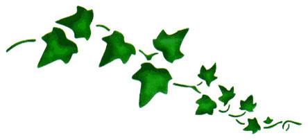 English Ivy Stencil - Traditional - Wall Stencils - by Stencil Ease