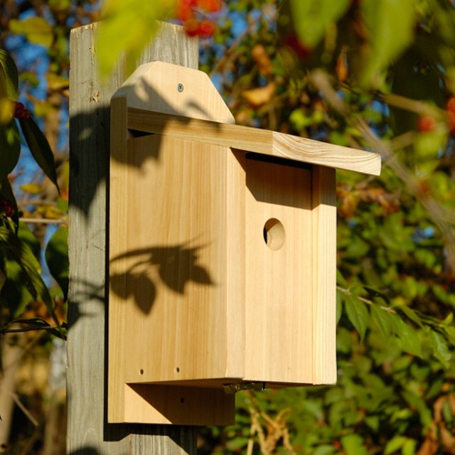 for the birds rustic birdhouses cincinnati by for the birds rustic birdhouses cincinnati by
