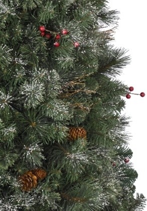 pull up trees uk 28 images pull up tree ebay pull up pull up trees uk 28 images pull up tree ebay pull up