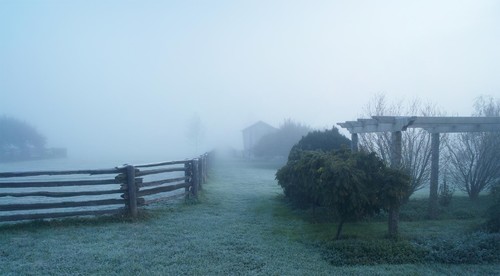 A rustic split rail fence on a foggy day across from a pergola and several ornamental trees and shrubs.