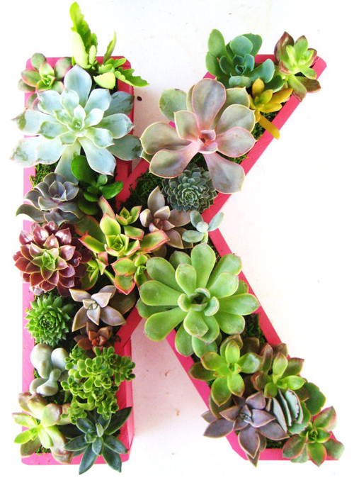 Succulent Monogrammed Planter Box by Rooted in Succulents