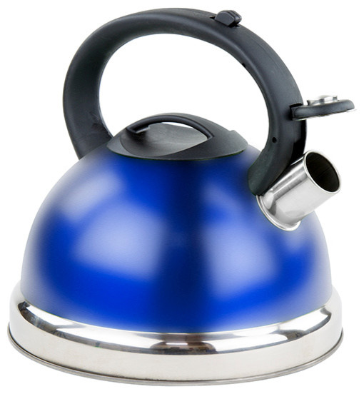 Stainless Steel Whistling Tea Kettle Encapsulated Stovetop Teapot, Blue Contemporary
