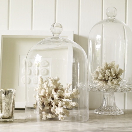 glass cloche large traditional decorative objects and glass cloche large traditional decorative objects and