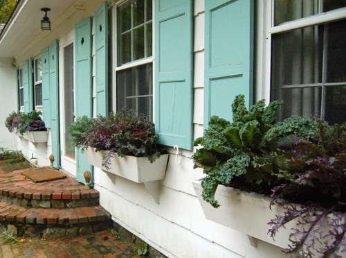 container plantings for autumn
