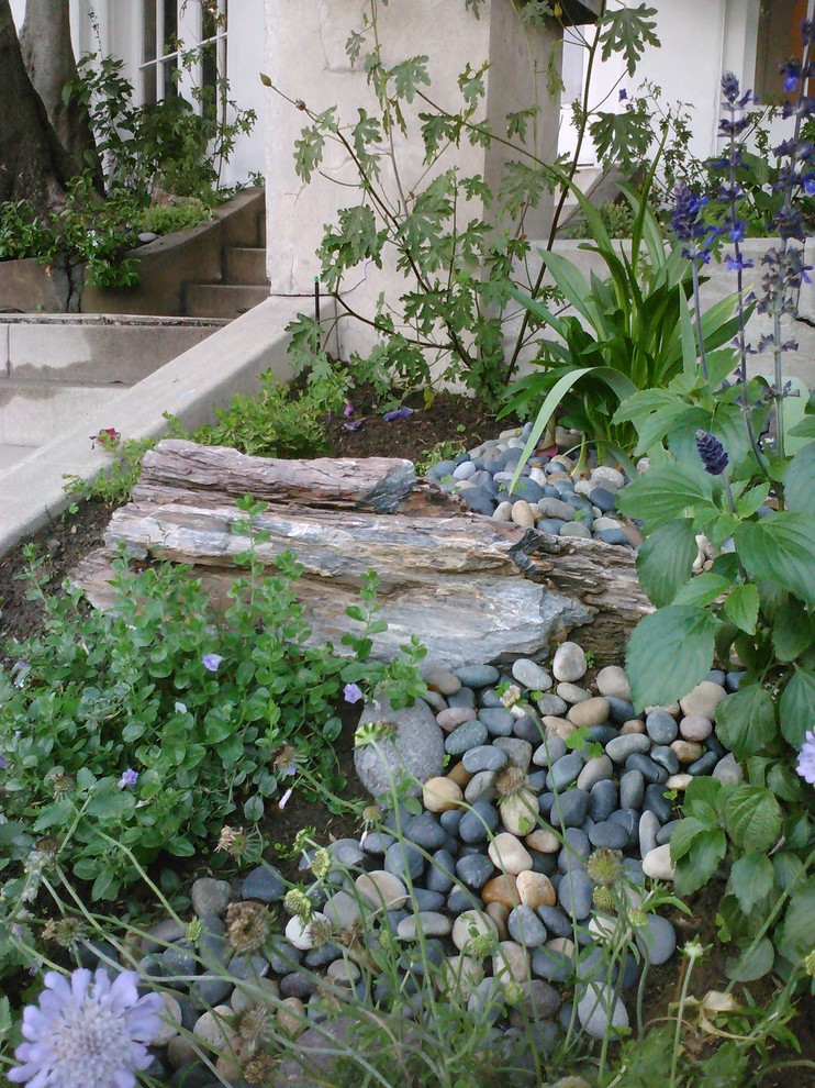 Driftwood Garden Contemporary Landscape Los Angeles By Sacred