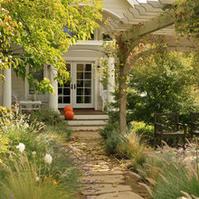 Landscape Ideas