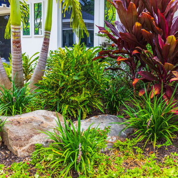 Tropical Luxury Landscape