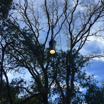 Orinda Oak Forest Landscape and Lighting
