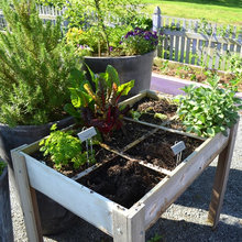 gardens