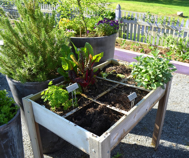 ��� by Noelle Johnson Landscape Consulting