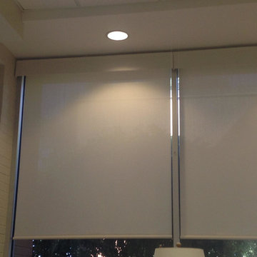 Shade Tree Shutters