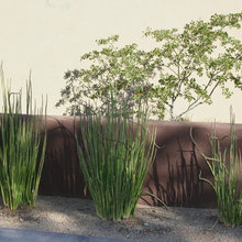 Outside 1