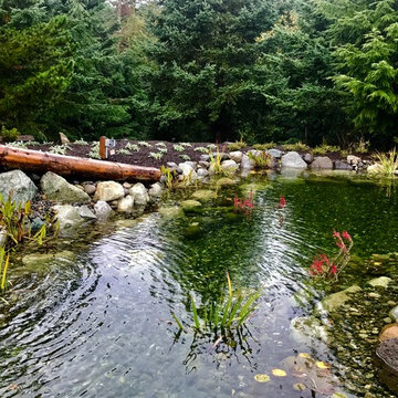 Bow, Wa project