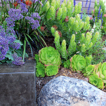 Mill Valley Hillside Garden