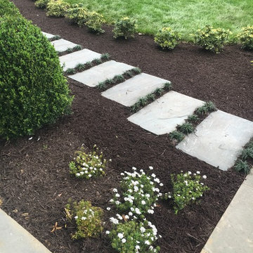 Paths and Steps