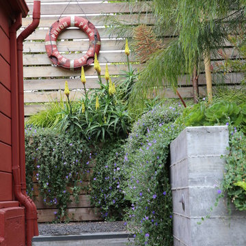 San Francisco Mid Century Revival