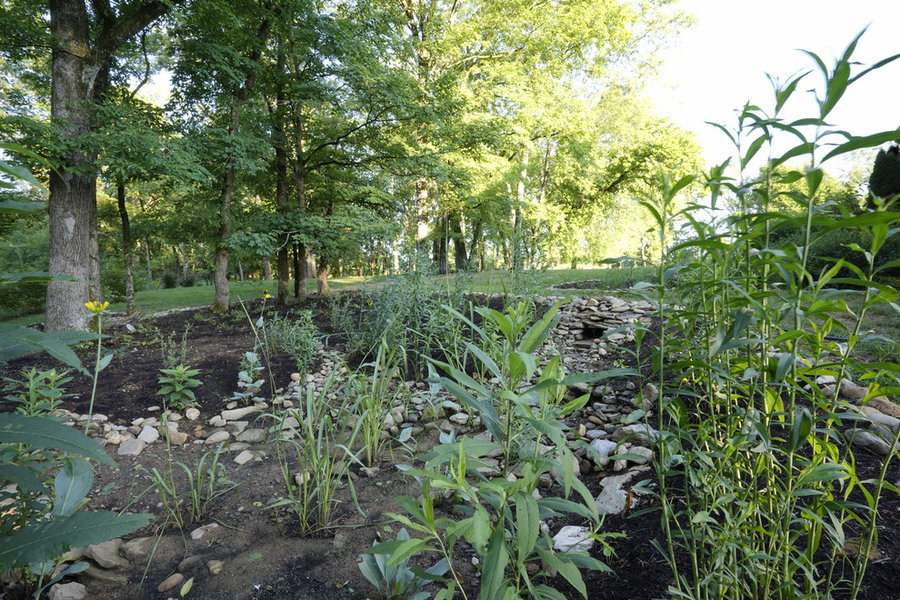 French Broad Rain Garden