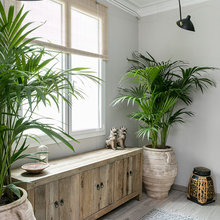 DECORACIÓN
