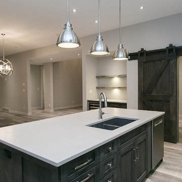 Modern/Contemporary Home