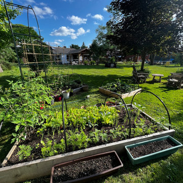 Bryan Drive Garden Refresh