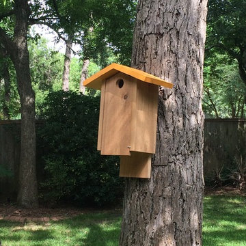 Blue Bird, Songbird, Swallow & Wren Houses