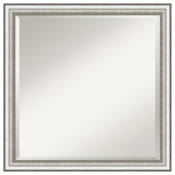 Salon Silver Narrow Beveled Wall Mirror 22.5 x 22.5 in.