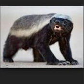John Ryan's photo