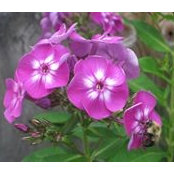 Martha Eppley's photo