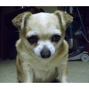 Tina Burtzloff's photo