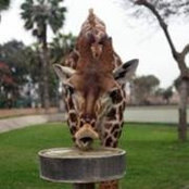 Kristi Hagerman's photo