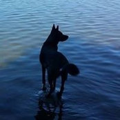Jeffrey Dale's photo