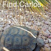 Cathy Lee Thornton Davis's photo