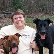 Denise Davis's photo