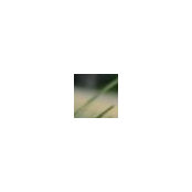 Sandra Copp's photo