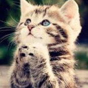 Amy Cole's photo