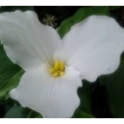 Foto von Kathy Clayson