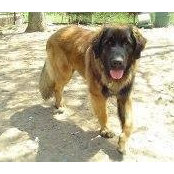 Mary Davidsons foto