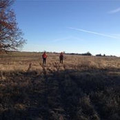 Pat Sambursky's photo