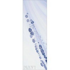 softline