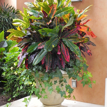 container gardens