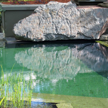 Gartenanlage mit großem Schwimmteich