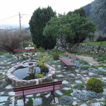 Grasse - Aménagement d'une terrasse au Sud - Les plantations après 2 ans