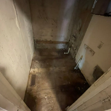 Termite Damage Is at it Again