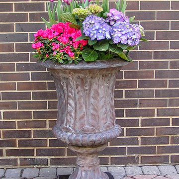 Spring Flowers