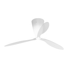 Ceiling fans